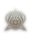 Arcana Lord