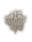 Eva's Templar