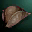 Leather Cap