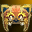 Tiger Hat Great Warrior's Soul Power - 7-day limited period
