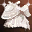 Wedding Veil