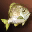 Big Yellow Fat Fish