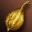 Golden Coba Seed