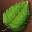 Event - Energy of Sprout