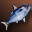 Big Blue Nimble Fish