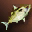 Big Yellow Nimble Fish