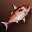 Big Red Nimble Fish