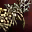 Common Item - Shyeed's Bow