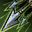 PvP Weapon - Rapid Fire