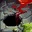 Invigor Level 1